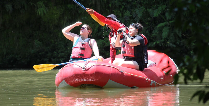 SAFARI FLOAT